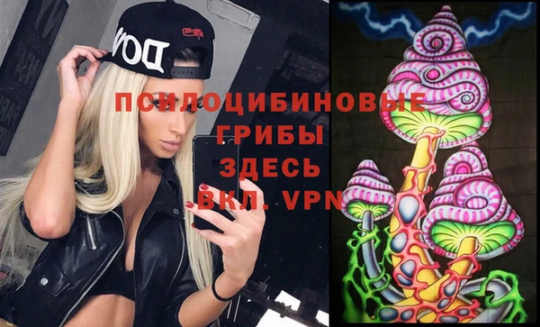 стаф Богданович