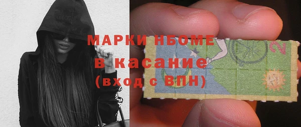 стаф Богданович