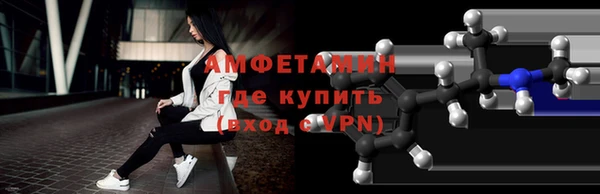 стаф Богданович