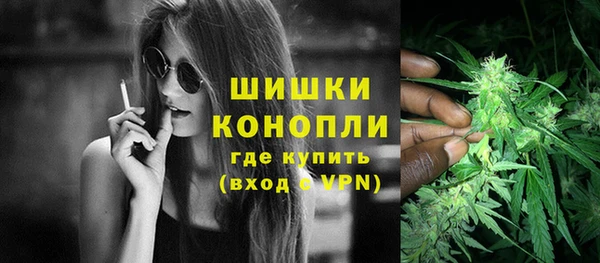 стаф Богданович