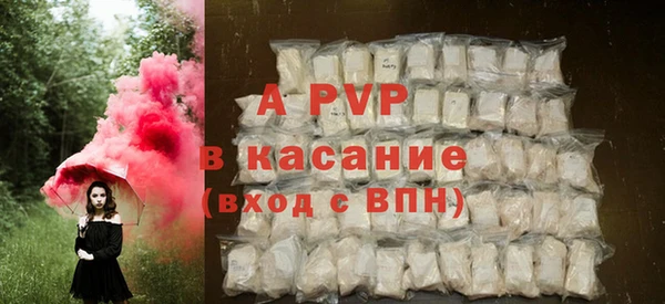 стаф Богданович