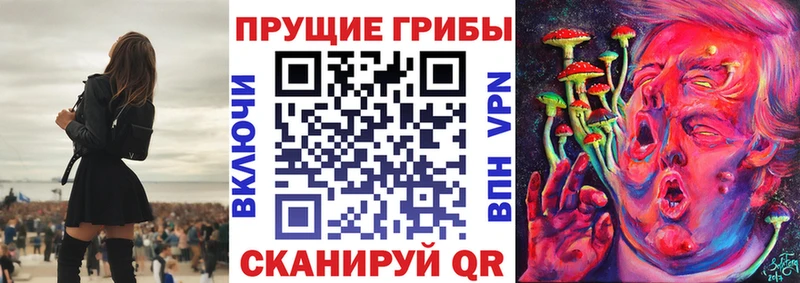 Псилоцибиновые грибы Psilocybe  Ижевск 