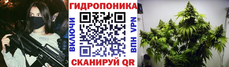 Конопля гибрид  купить   Ижевск 